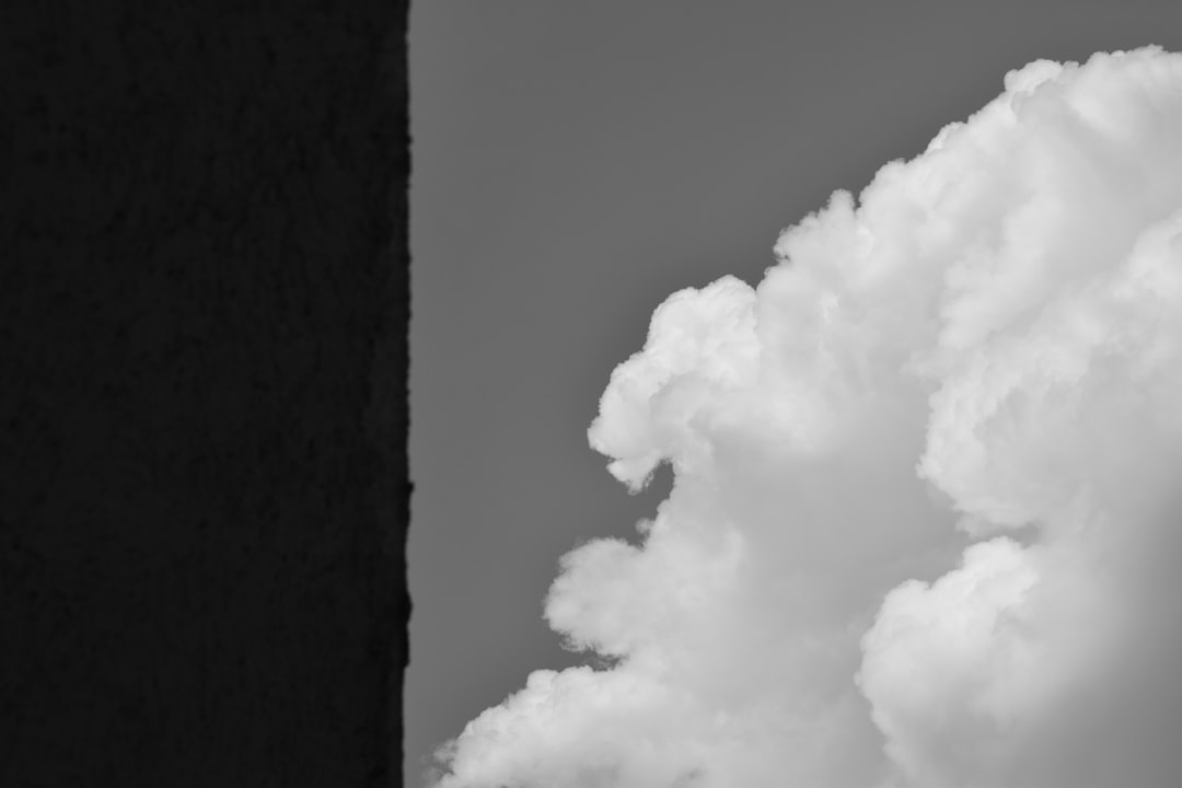 découvrez des alternatives écologiques pour un mode de vie plus respectueux de l'environnement : astuces, produits et conseils pour réduire votre impact écologique au quotidien.