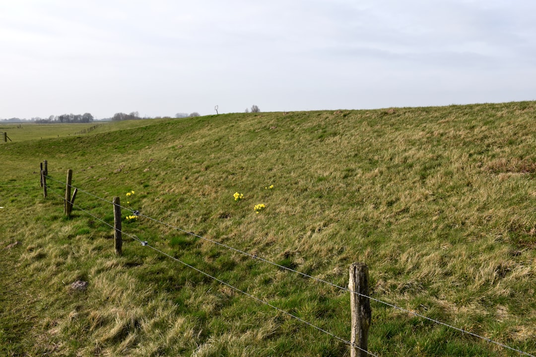 découvrez le concept du reinforcement (renforcement) en intelligence artificielle, son rôle dans l’apprentissage automatique et comment il optimise la prise de décision grâce à l’expérience et à la récompense.