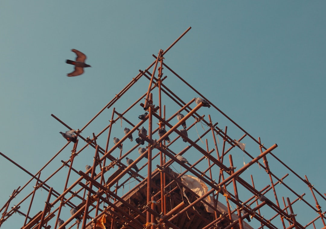 découvrez tout ce qu'il faut savoir sur le scaffolding : définition, utilité dans le domaine du bâtiment, avantages, méthodes d’installation et conseils de sécurité pour travailler en hauteur efficacement.
