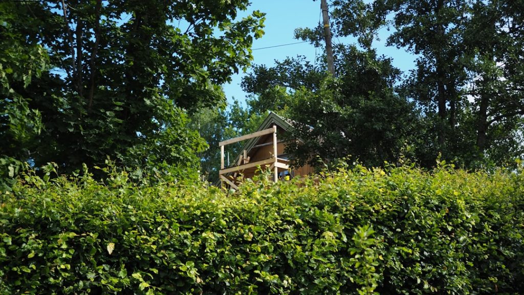 découvrez l'importance de la maintenance d’échafaudages pour garantir la sécurité, la durabilité et la conformité des structures temporaires sur vos chantiers. nos conseils pour un entretien efficace.